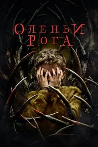  Оленьи рога 