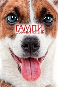  Гампи. Собачья жизнь 
